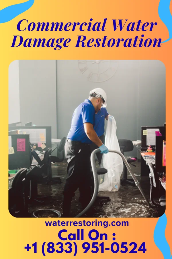 Commercial Water Damage Restoration in Belknap, MT